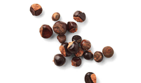 Le guarana