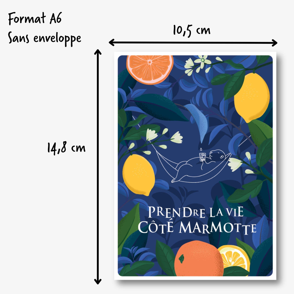 Carte postale bleue dimensions