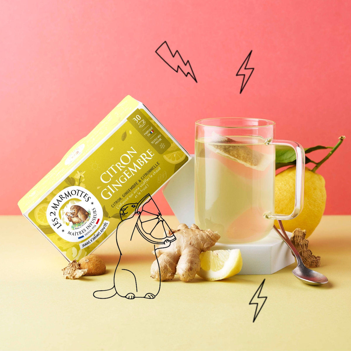 Tisane Citron Gingembre Sarriette citronnée sans arômes ajoutés