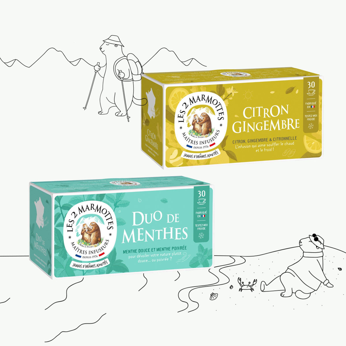 2 tisanes estivales à boire froides : tisane 2 menthes et tisane citron-gingembre. Sans arômes ajoutés.