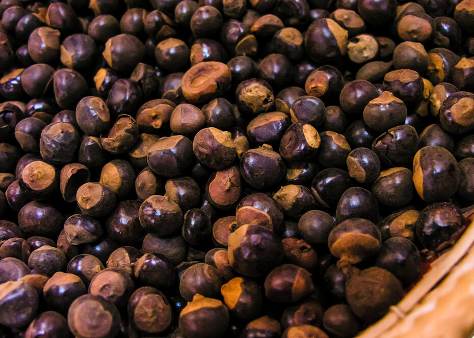 Graines séchées de guarana
