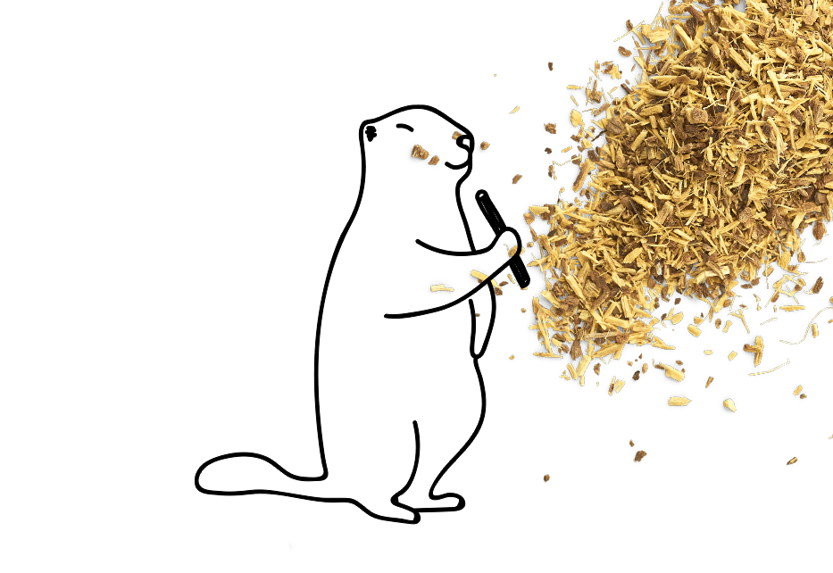 La vraie réglisse est une plante, qu'on peut utiliser en tisane ou infusion