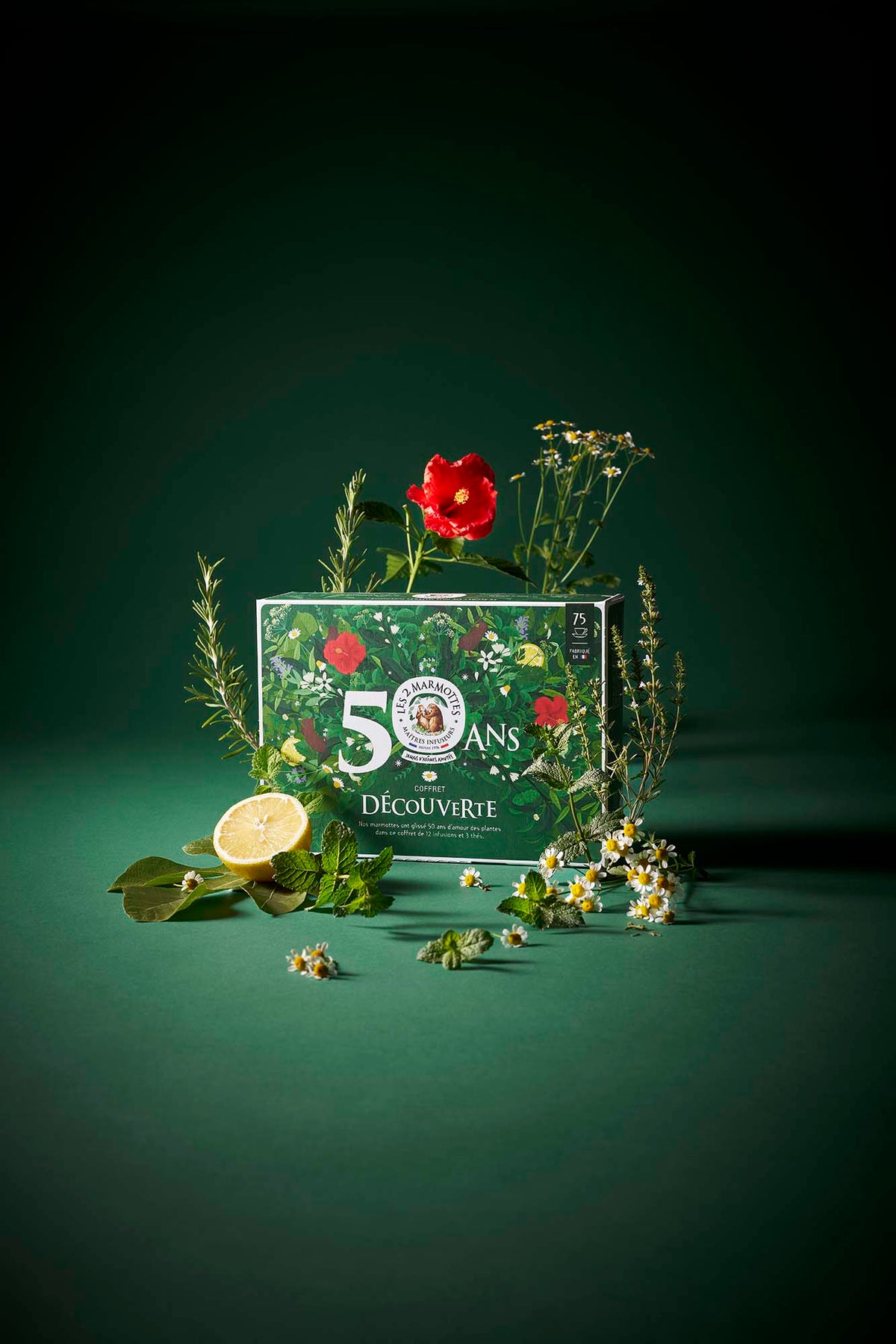 Mug et coffret collector 50 ans Les 2 Marmottes, mug vert illustration fleurs et herbes avec citation "le mug officiel des belles plantes"