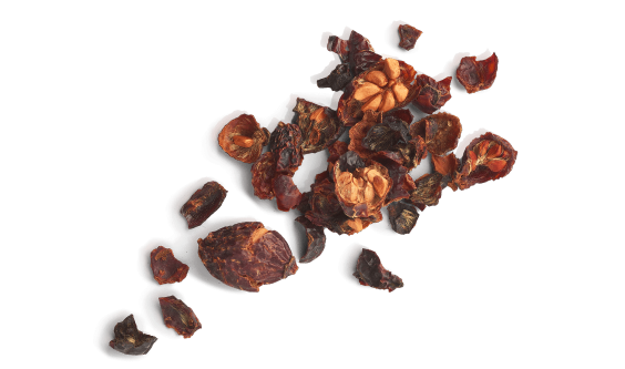 Le Cynorrhodon