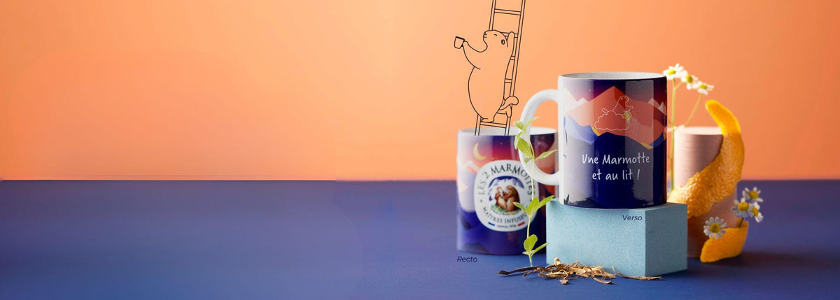 Mug bleu nuit les 2 marmottes citation "une marmotte et au lit"