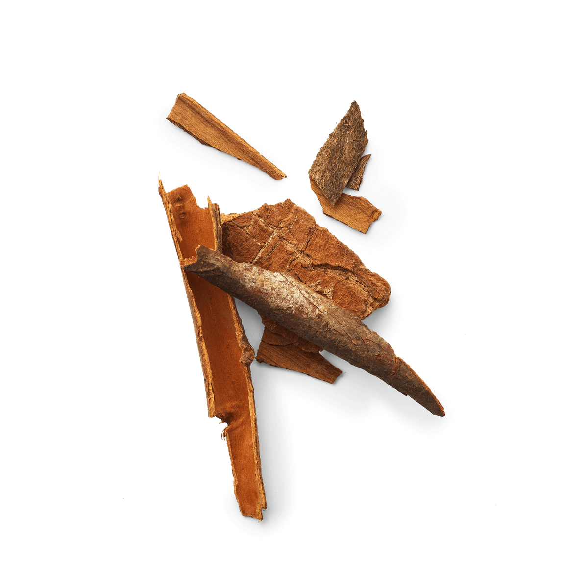 Cannelle
