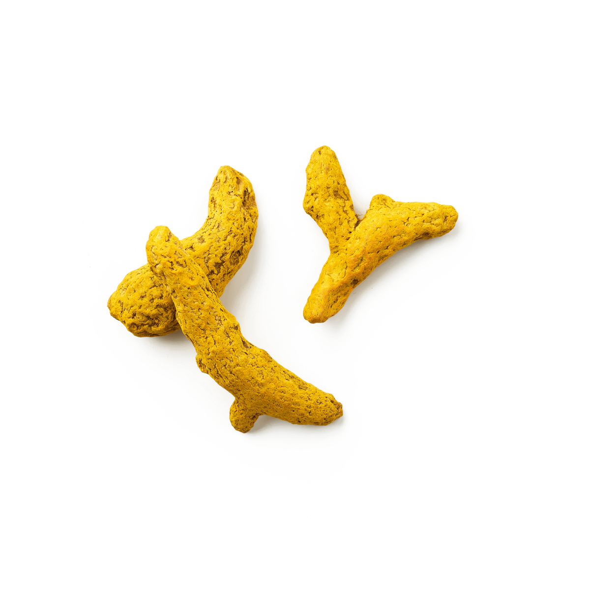 Curcuma