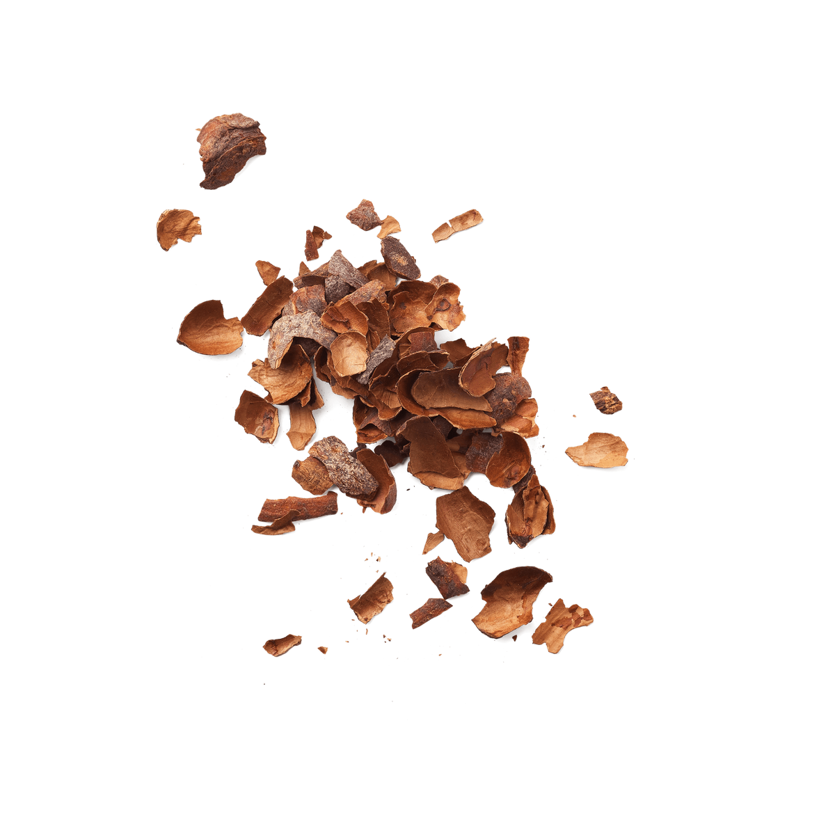 Ecorce de cacao