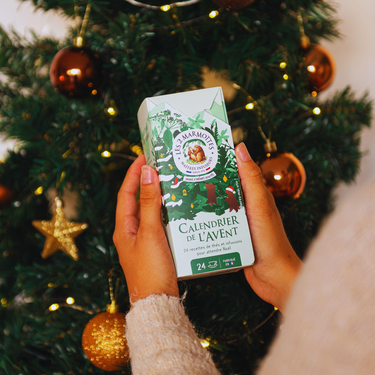petit Calendrier de l'avent compact thés et tisanes,  24 sachets différents pour attendre noel
