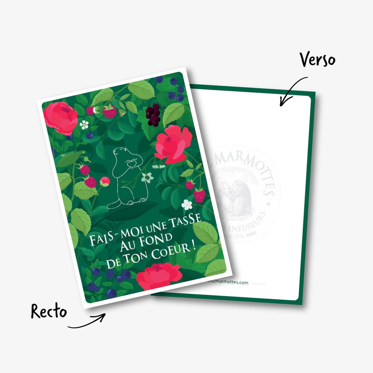 Détail du recto verso de la carte postale verte décor plantes
