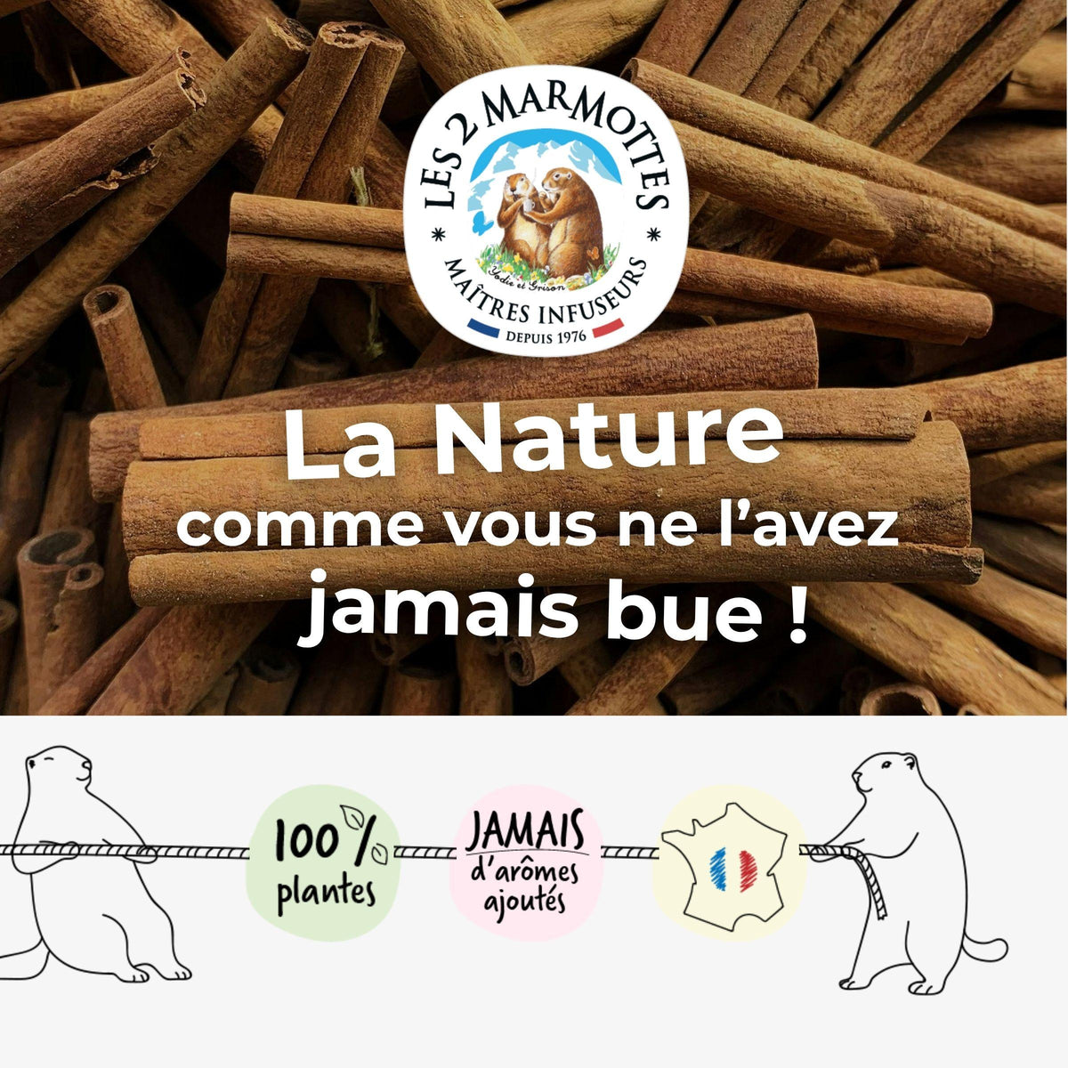 Les 2 Marmottes, la nature comme vous ne l'avez jamais bue ! Toutes nos tisanes et thés sont  made in france et 100% plantes, sans jamais tricher sur le goût avec des arômes ou des extraits. Nos tisanes à la cannelle et nos thés aux épices n'utilisent que des vraies écorces de cannelle, aucun arôme de cannelle.