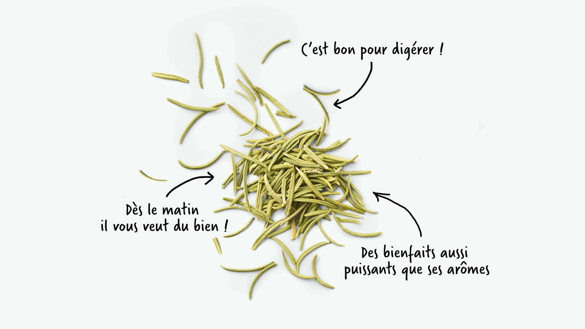 On utilise la feuille de romarin séchée et coupée dans les tisanes