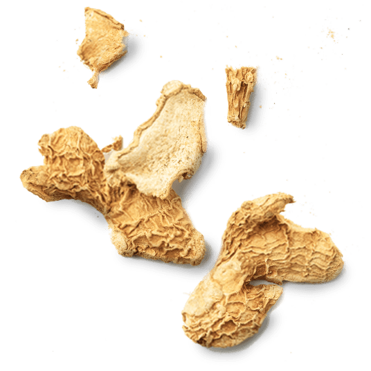 Le gingembre est séché, puis découpé en "flakes" avant de subir une dernière coupe adaptée à la diffusion de son parfum épicé dans l'eau chaude