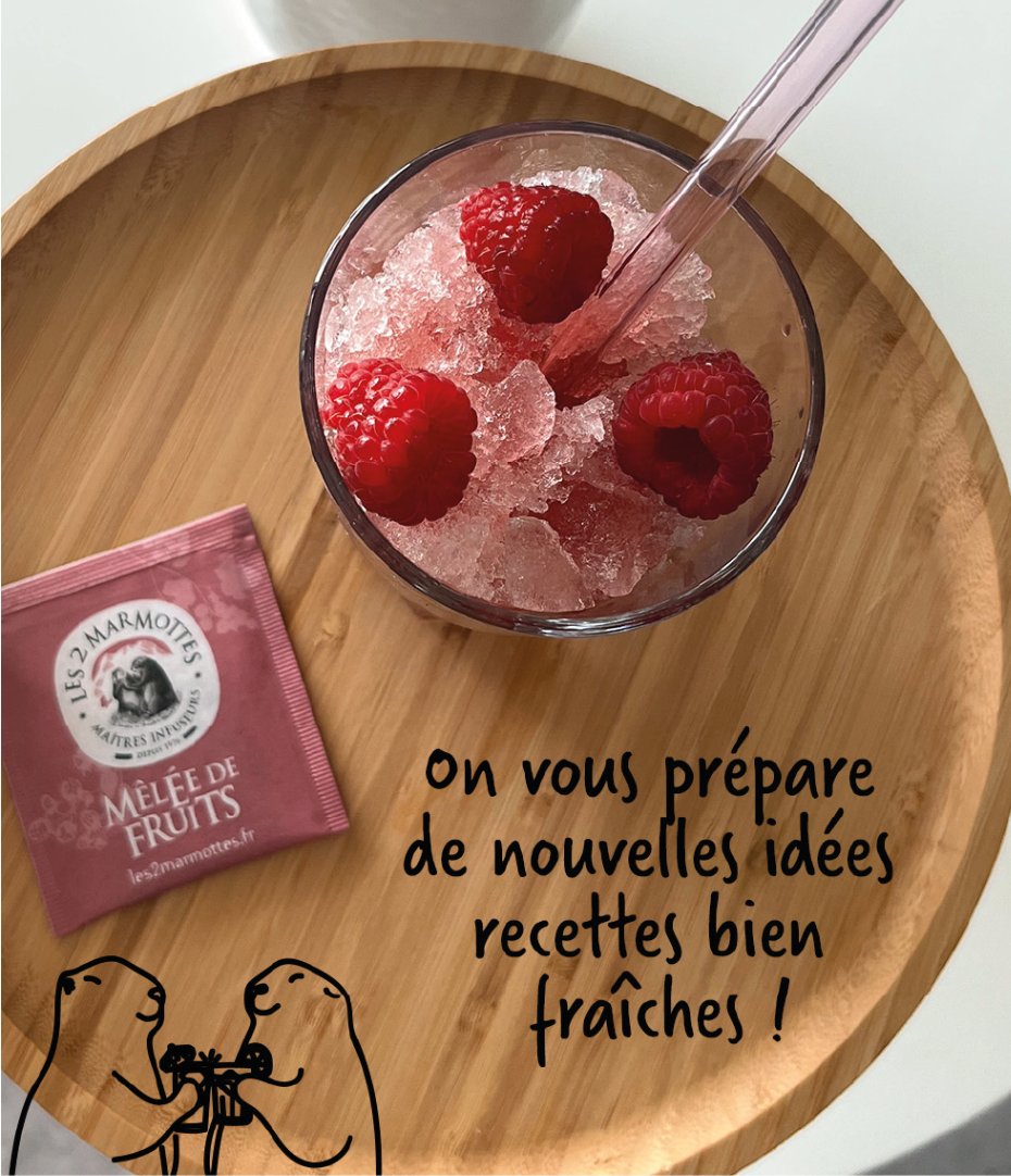 Idée recette : granité sur une base de tisane ou thé aux fruits
