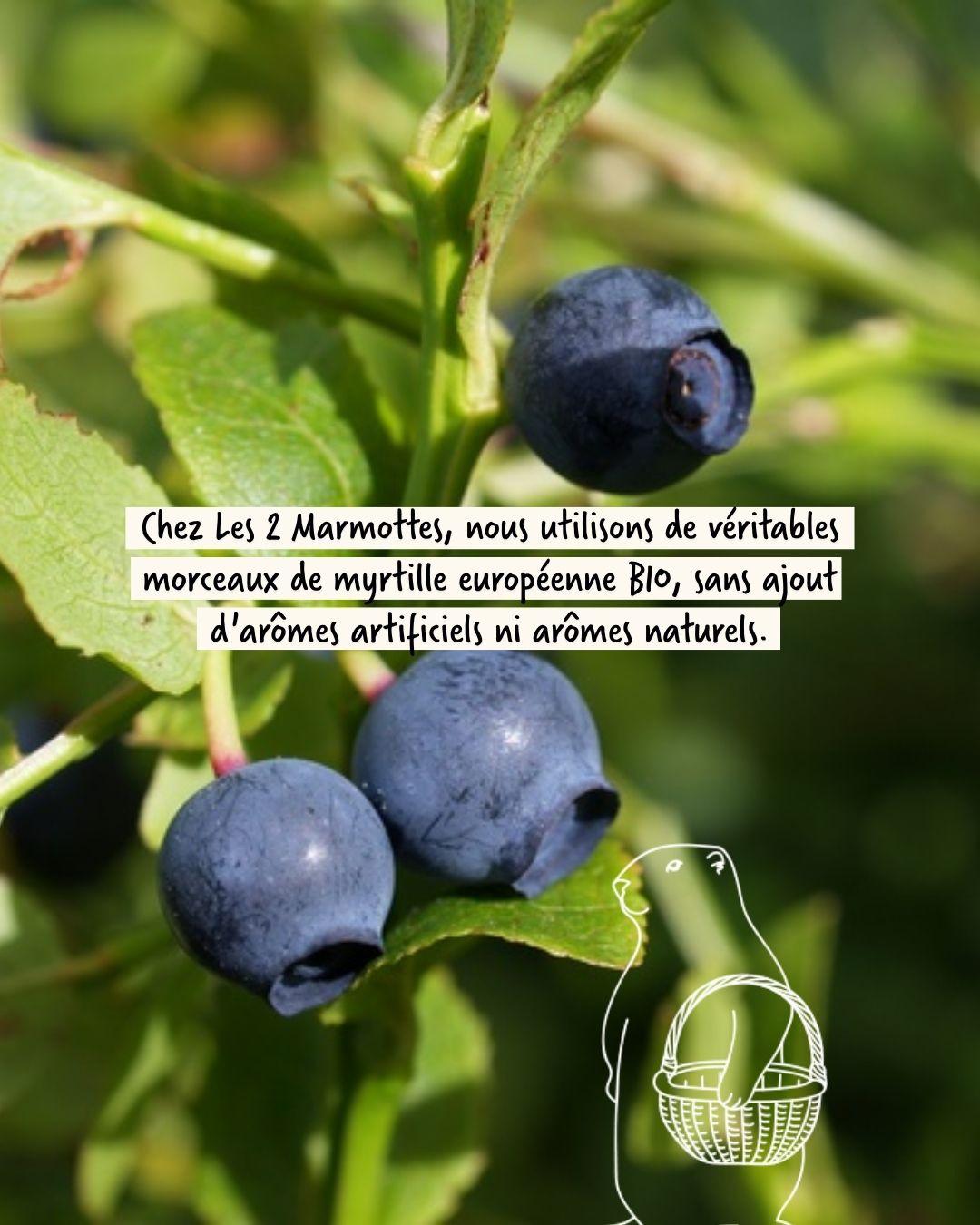 Quelle est la myrtille utilisée dans les tisanes fruits rouges des marmottes ?