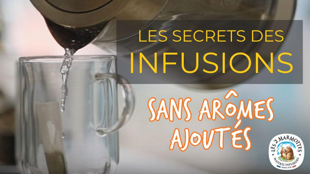 Les maîtres infuseurs du terrier vous expliquent ce que veut dire "sans arômes ajoutés"